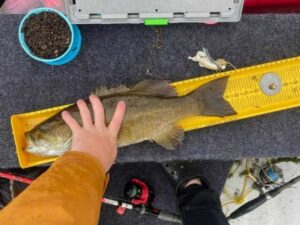 Isaiahs - 19 3.4 bass