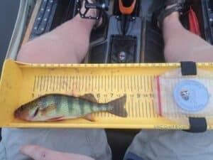 447634350_827939745882708_885227589935997525_n