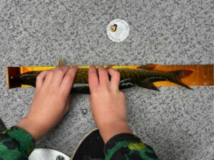 Eli Nelson - youth - pickerel - 16 3.4