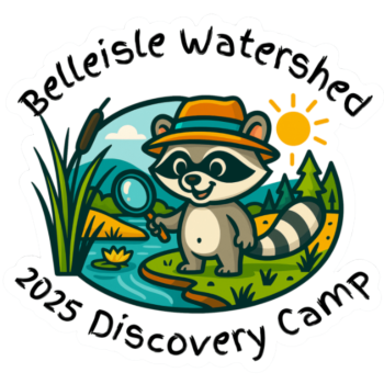 Summer Camp Logo